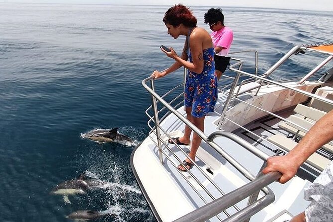 Incredible Dolphin Watching Experience on Our Family Friendly Catamaran - Lagos - Expert Guide and Commentary