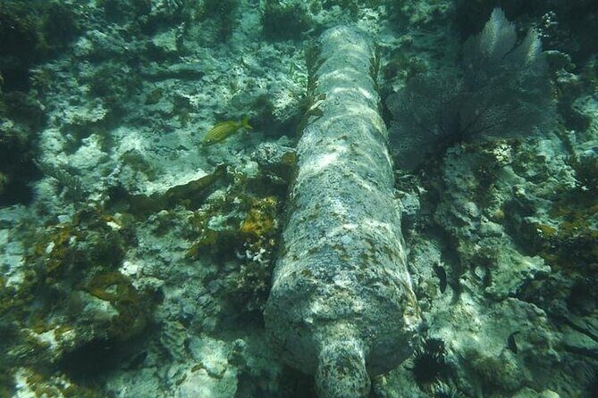 Incredible Negril Guided Snorkeling To Reef, Anchor, and Cannon - Frequently Asked Questions