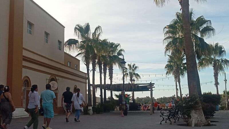 Incredible Private Tour to Todos Santos Magical Town - Key Points