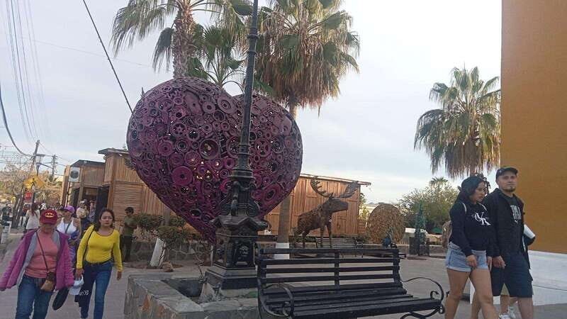 Incredible Private Tour to Todos Santos Magical Town - The Sum Up: Why Choose This Tour?