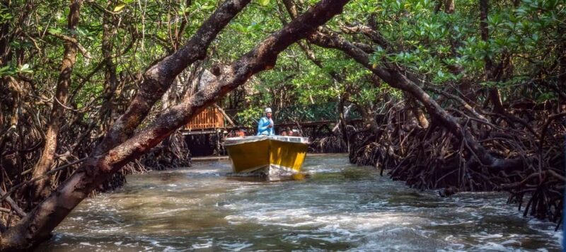 India:Andaman & Nicobar Islands: Havelock: Tour Packages - Transportation and Pickup/Drop-off