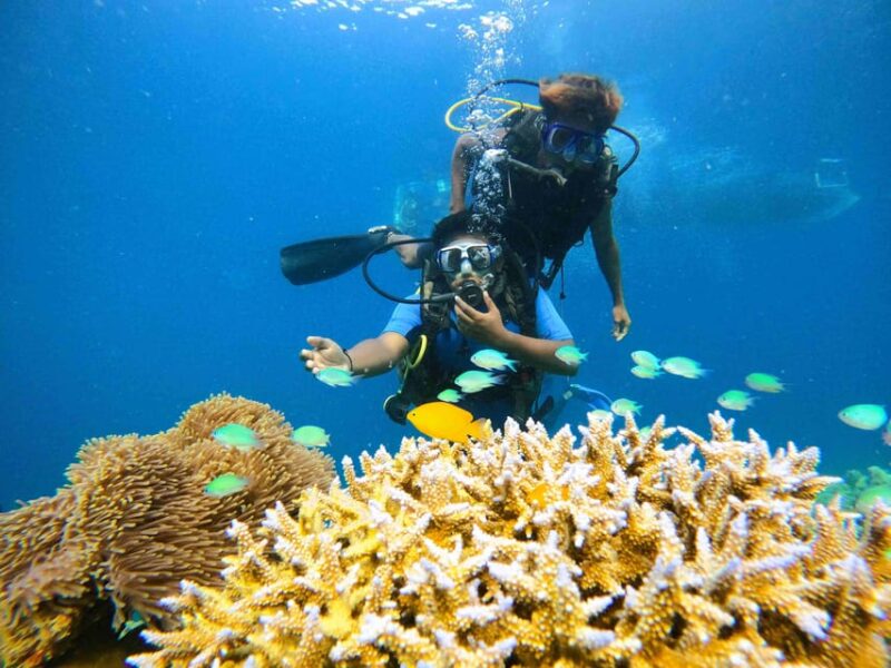 India:Andaman & Nicobar Islands: Havelock: Tour Packages - Guided Tours and Experiences
