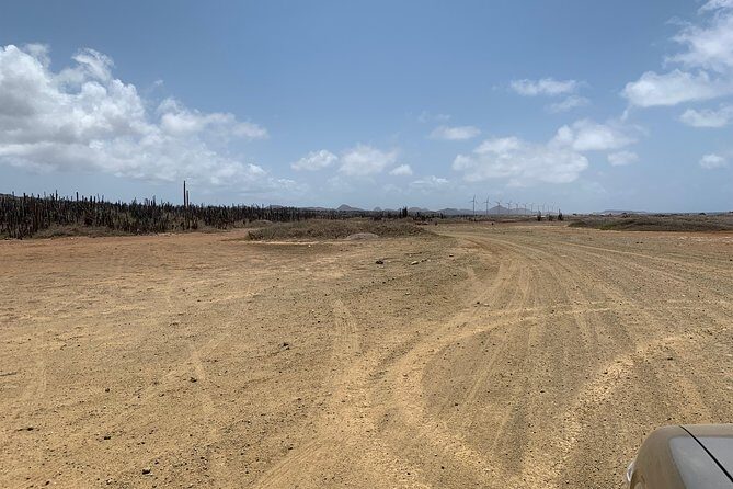 Indian Inscriptions Tour with Local Guide - Who Will Love This Tour?