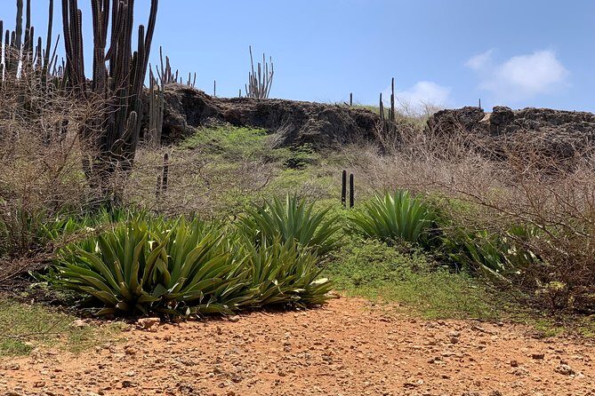 Indian Inscriptions Tour with Local Guide - The Sum Up