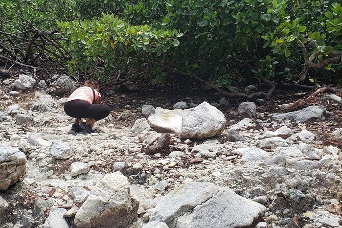 Indian River, Cold Soufriere & Fort Shirley (Northern Excursion) - Practical Tips for Travelers