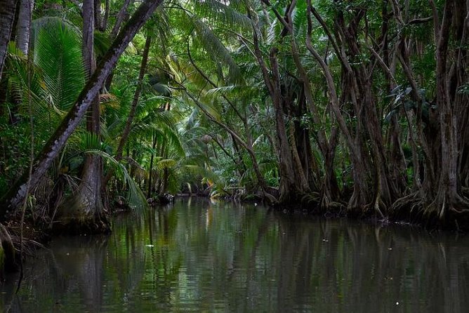 Indian River, Cold Soufriere & Fort Shirley (Northern Excursion) - Meeting and Pickup Information