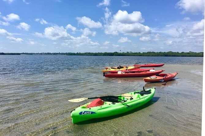 Indian River Lagoon Preserve Kayak Tour - What to Expect During the Tour