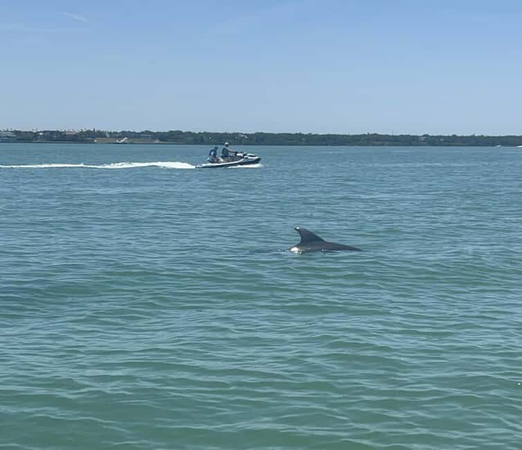 Indian Rocks Beach: Guided Jet Ski Adventure - Who Should Consider This Tour?