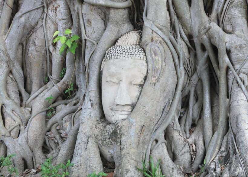 Individual 12 Hours Private Car Bangkok-Ayutthaya - Booking and Cancellation Policy