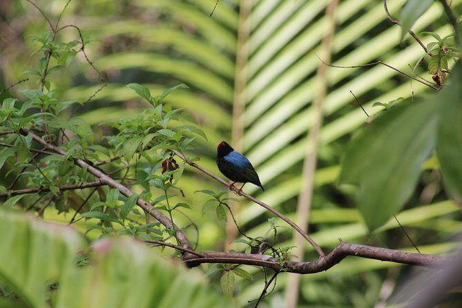 Individuelle Regenwald Tour - What Travelers Are Saying