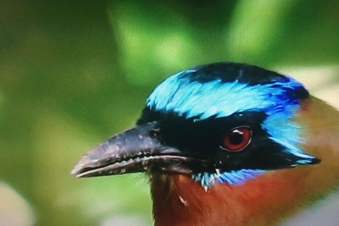 Individuelle Regenwald Tour - Who Should Consider This Tour?