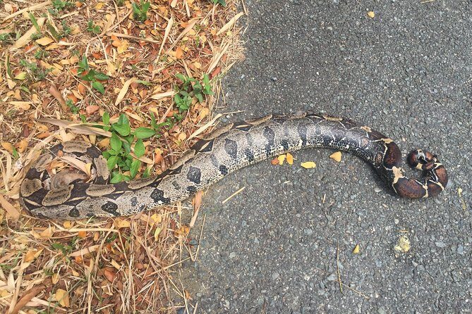 Individuelle Regenwald Tour - The Sum Up