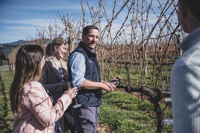 Indulge with Swinging Bridge - The Sum Up