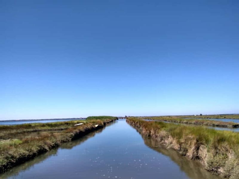 Industry or Nature Boat Tour | Speedboat - What This Experience Offers for Travelers