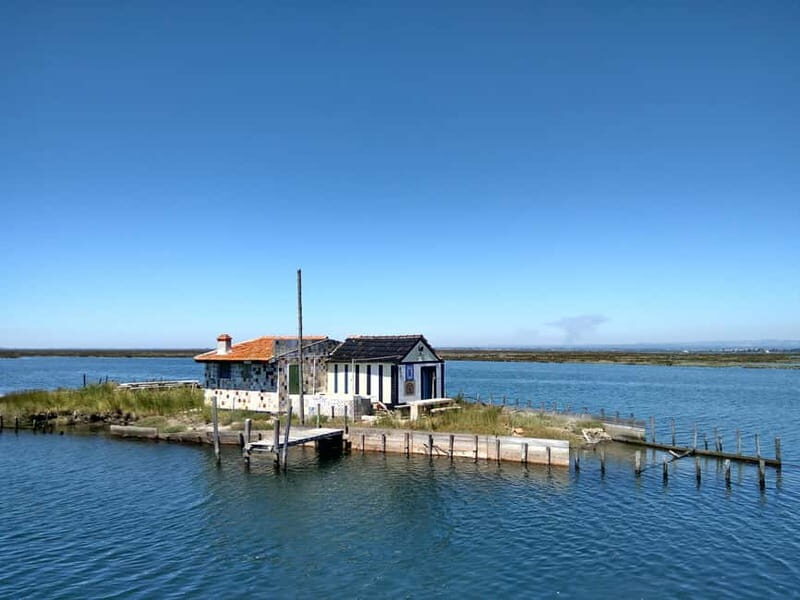 Industry or Nature Boat Tour | Speedboat - Why You’ll Love This Tour