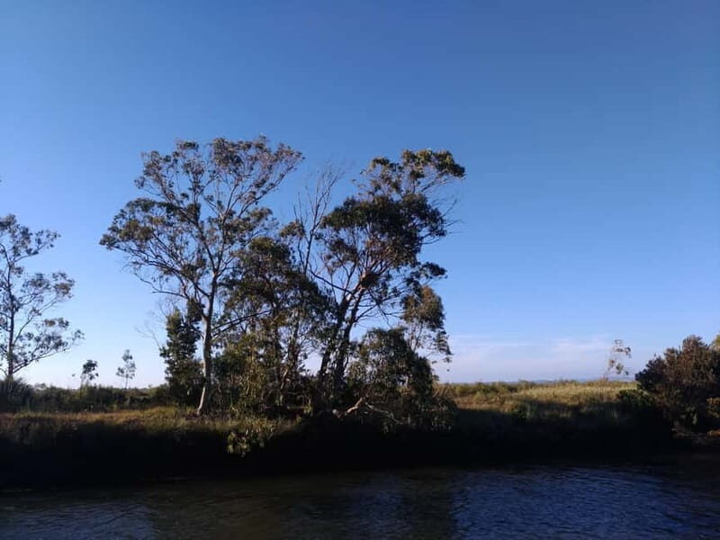 Industry or Nature Boat Tour | Speedboat - The Practical Side: What You Need to Know