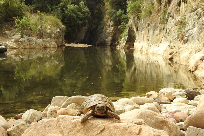 Inflatable Boat Excursion Gole Di Tiberio on the Madonie Near Cefalù - Private Tour Benefits