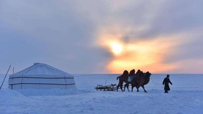 Inner Mongilia: 6-Day Hulunbuir Private Winter Tour - Who Will Love This Tour?