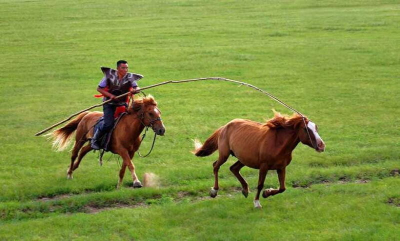 Inner Mongolia: 5-Day Private Tour with Desert Adventure - Final Thoughts