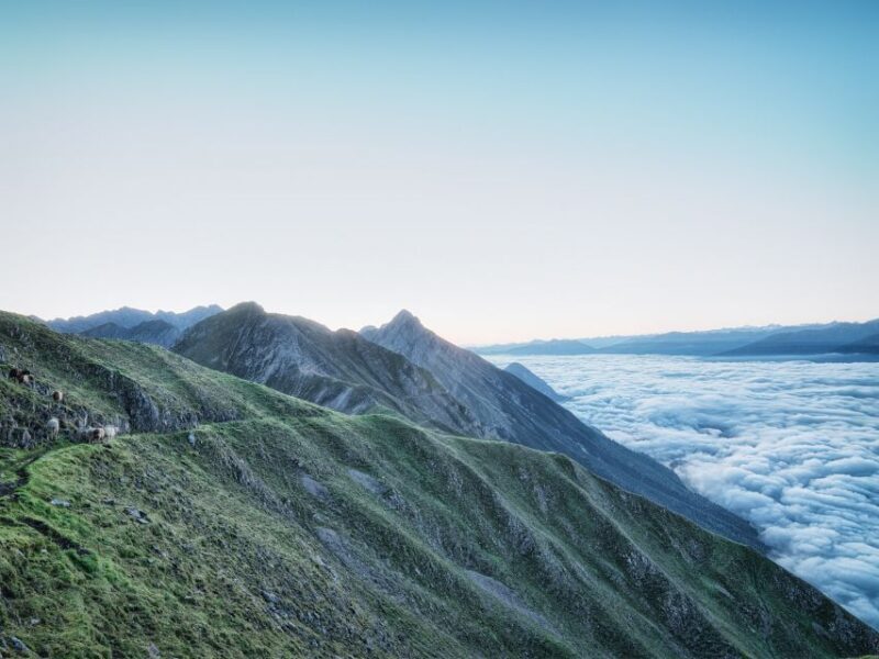 Innsbruck: Alpenzoo & Top of Innsbruck Combination Ticket - Why This Tour Is Worth Considering  