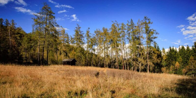 Innsbruck: Panoramic hike across the Telfer Wiesen - Final Thoughts