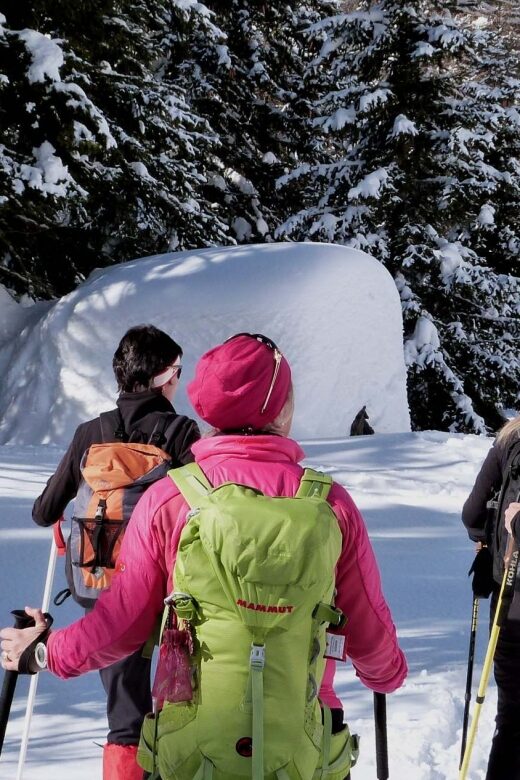 Innsbruck: Priv. Guided Snowy Mountain Hike /Snowshoe´s - Why the Views Matter