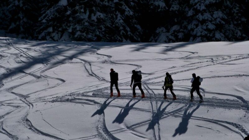 Innsbruck: Priv. Guided Snowy Mountain Hike /Snowshoe´s - FAQ
