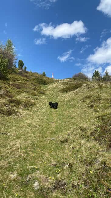 Innsbruck: Private Adventure Tour with Guide - Itinerary Breakdown: What to Expect