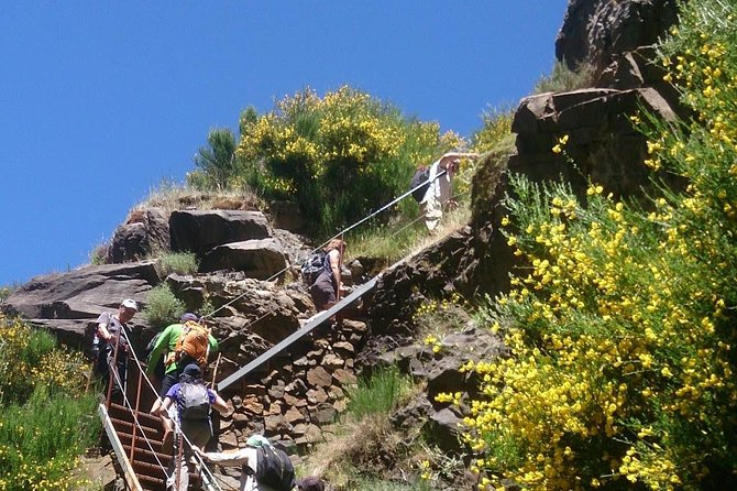 [INPUT TEXT TRANSLATED INTO ENGLISH]:Pico Do Arieiro - Pico Ruivo - Achadas Do TeixeiraPico Do Arieiro - Pico Ruivo - Achadas Do Teixeira - Traveler Requirements