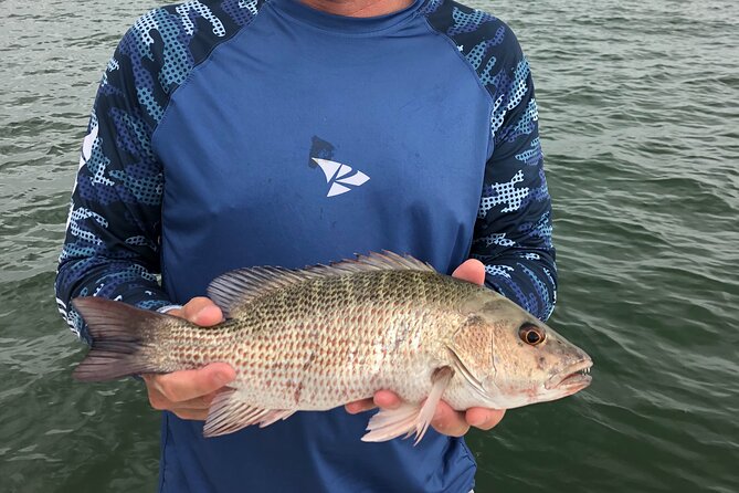 Inshore Fishing by Charter in Sarasota - Overview of Inshore Fishing Charters