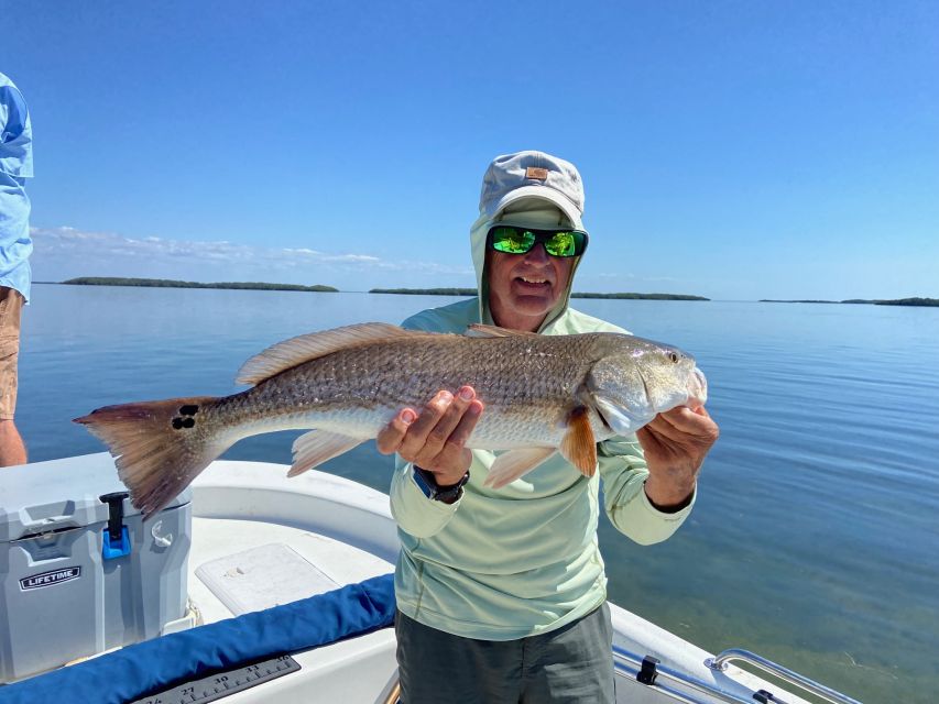 Inshore Fishing Half Day - Highlights