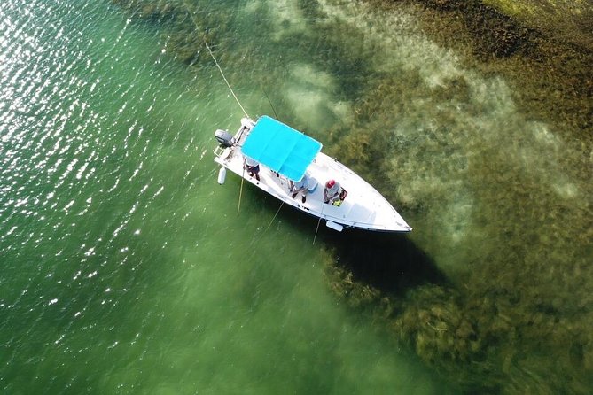 Inshore & Fly Fishing Punta Cana Private Charter at Marina Cap Cana - Inclusions in the Charter