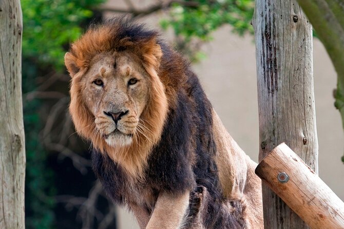 Inside Alcatraz: The Bay Your Way - Recommended Attractions