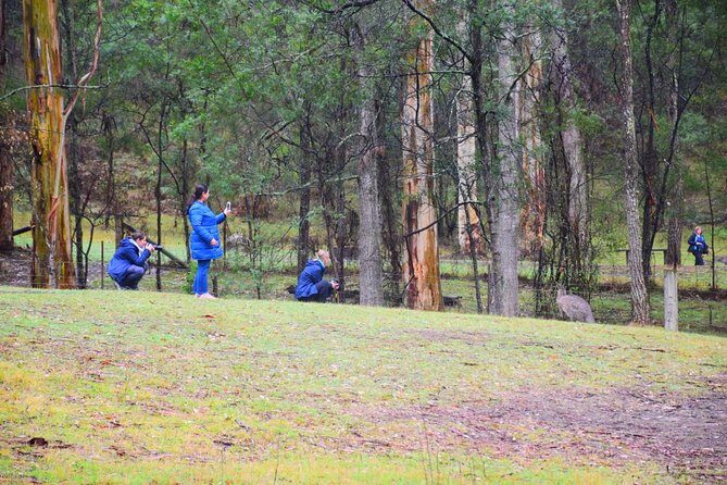 Inside the Greater Blue Mountains World Heritage - A Private Wildlife Safari Overnight - The Sum Up