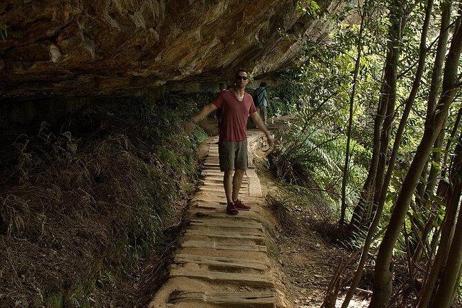 Inside the Greater Blue Mountains World Heritage - A Wildlife Safari Overnight - Practical Details and Tips