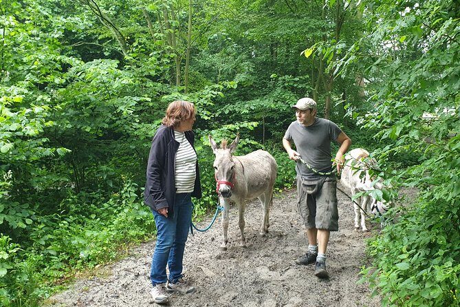 Inspirational Nature Walking Tour with Donkeys in The Hague - An In-Depth Look at the Experience