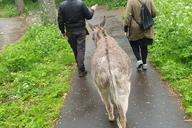 Inspirational Nature Walking Tour with Donkeys in The Hague - FAQs