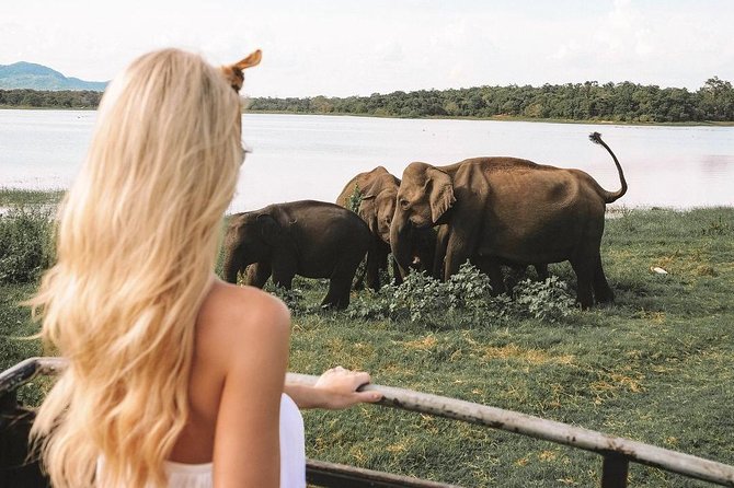 Instagramble Sri Lanka - 7 Days - Day 2: Exploring Kandy