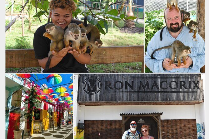 Interaction with Monkey Tour & city tour in Puerto Plata - Key Points