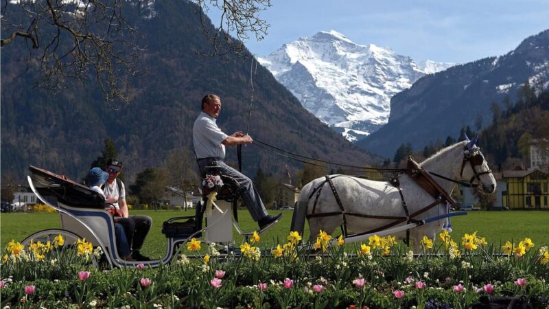 Interlaken: Highlights Tour With Horse Carriage - Good To Know