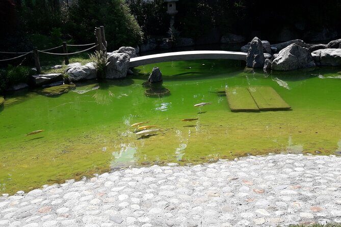 Interlaken Non Stop Intro Safari with CLOY Pier Iseltwald Private - Final Thoughts