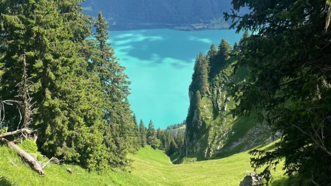 Interlaken: Summit Harder Kulm With a Swiss Triathlete - Safety and Authenticity
