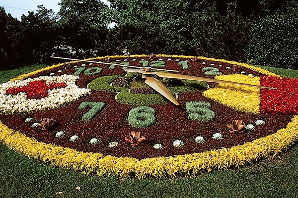 International & Panoramic Tours Geneva - Booking Process and Options
