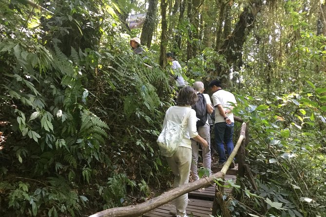 Inthanon Small-Group With Kew Mae Pan Trail From Chiang Mai Include Lunch - Pickup Information