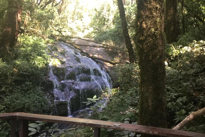 Inthanon Small-Group With Kew Mae Pan Trail From Chiang Mai Include Lunch - Additional Requirements