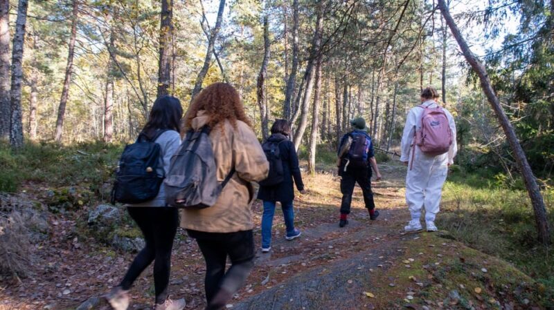 Into the wild - a sensorial experience in Stockholm's woods - Assessing the Value