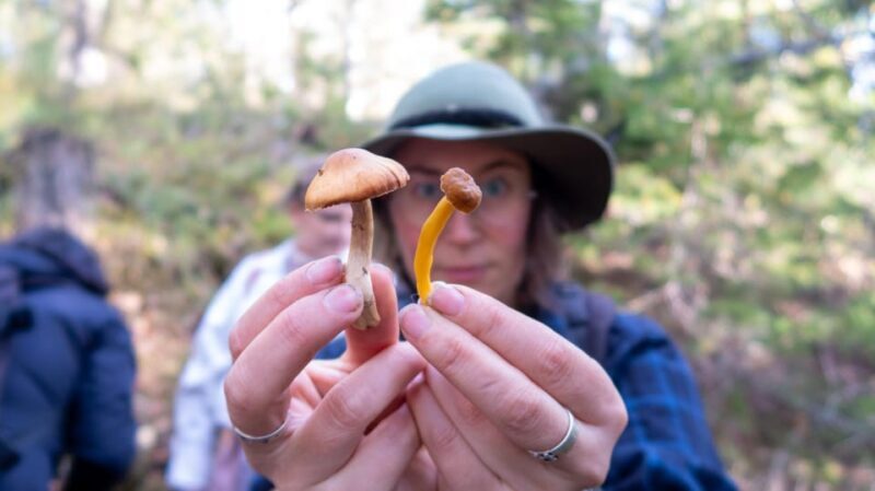 Into the wild - a sensorial experience in Stockholm's woods - Final Thoughts