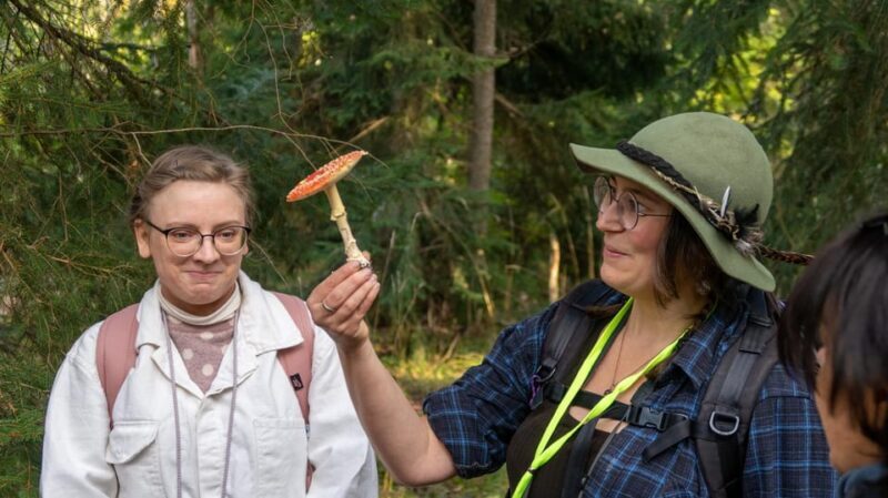 Into the wild - a sensorial experience in Stockholm's woods - FAQs
