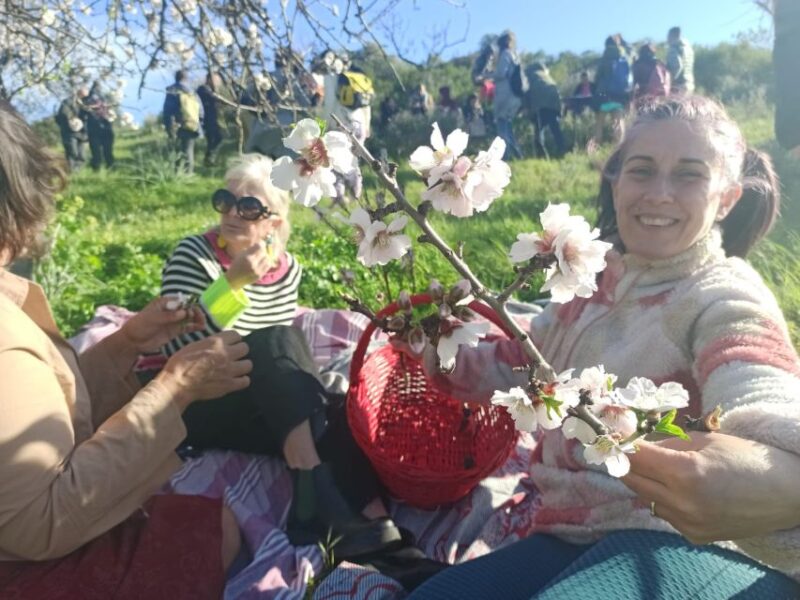 Into the World of Sardinian Wild Herbs - The Therapeutic Power of Spontaneous Herbs