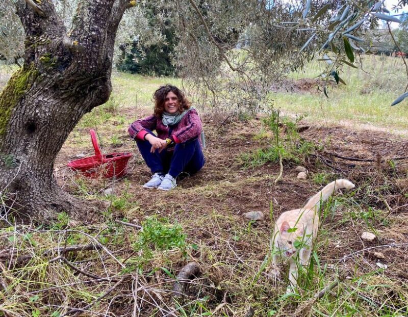 Into the World of Sardinian Wild Herbs - Exploring the History of Medicinal Plant Practices